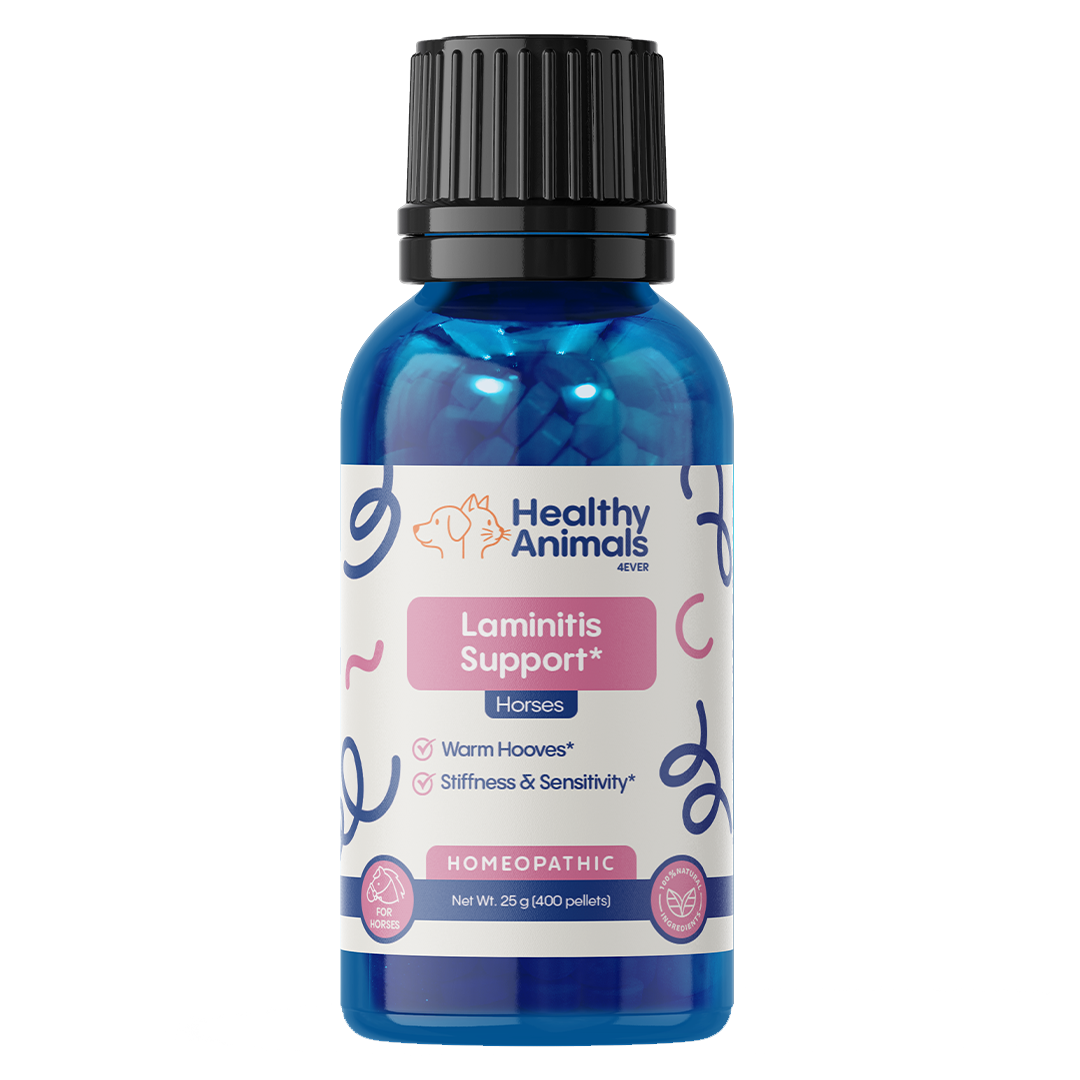 Horse Laminitis Support