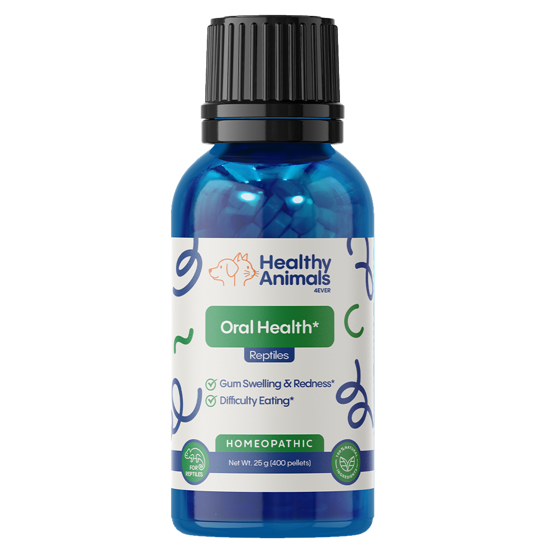 Reptile Oral Health Support