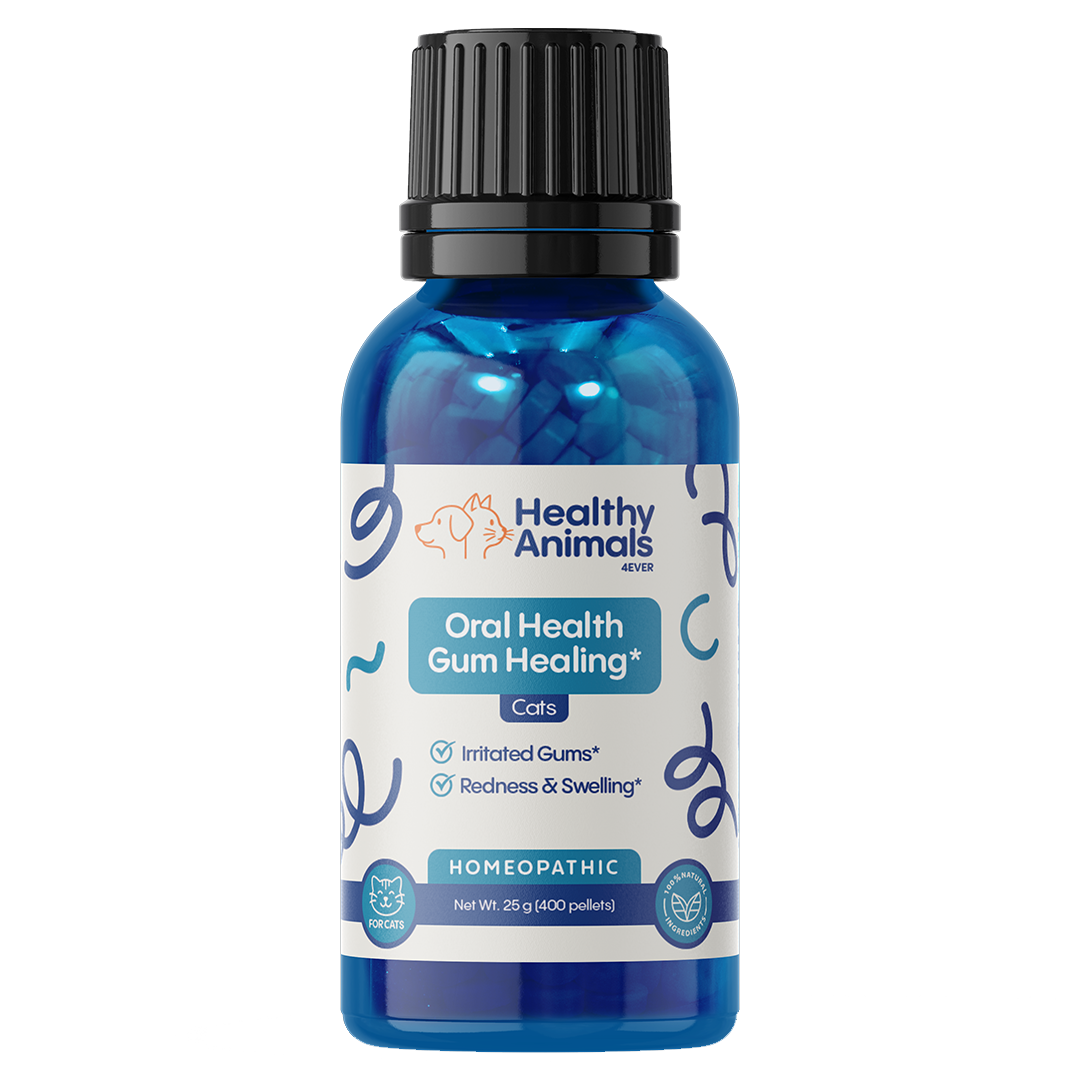 Cat Oral Health