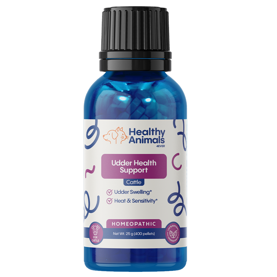 Mastitis Recovery Supplement for Cattle