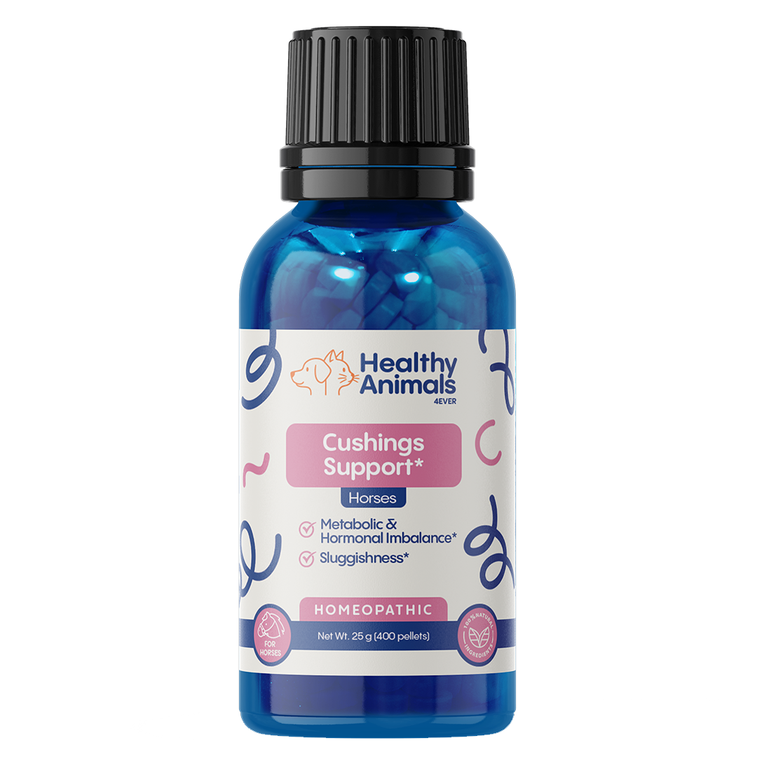 Horse Digestive Support for Cushing’s Disease