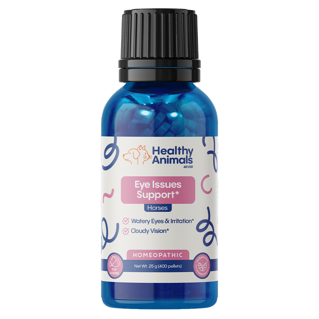 Horse Eye Health Support