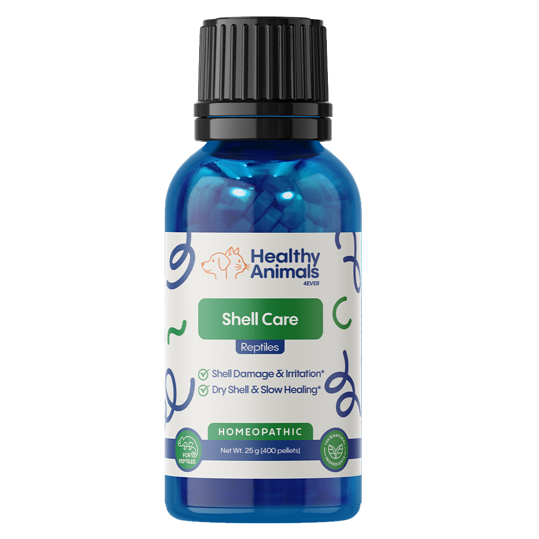 Reptile Shell Care - Natural Support for Shell Rot, Tissue Repair & Healthy Shell Growth - Safe Homeopathic Formula - 300 Tablets