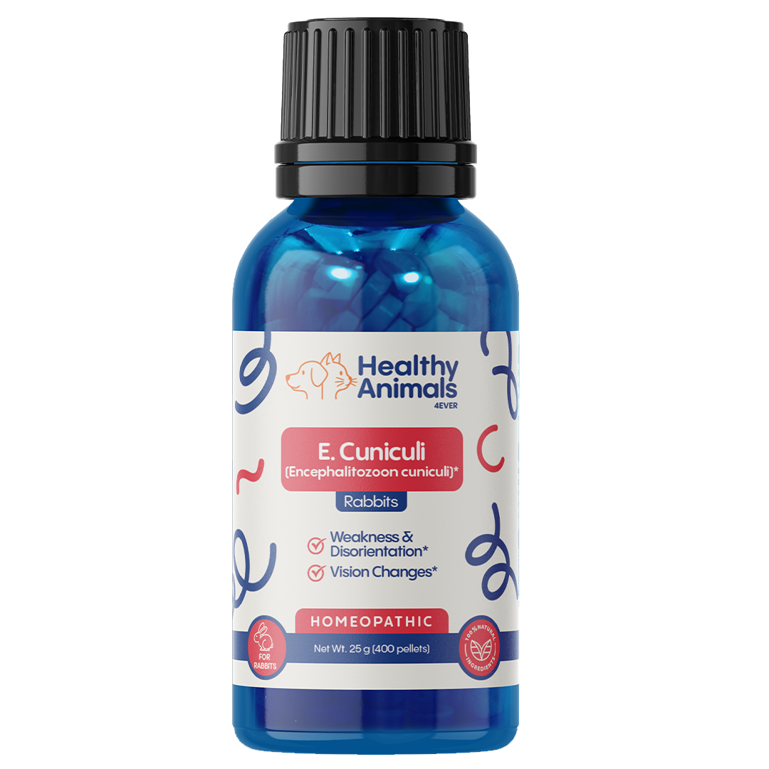 Rabbit E. Cuniculi Infection Treatment