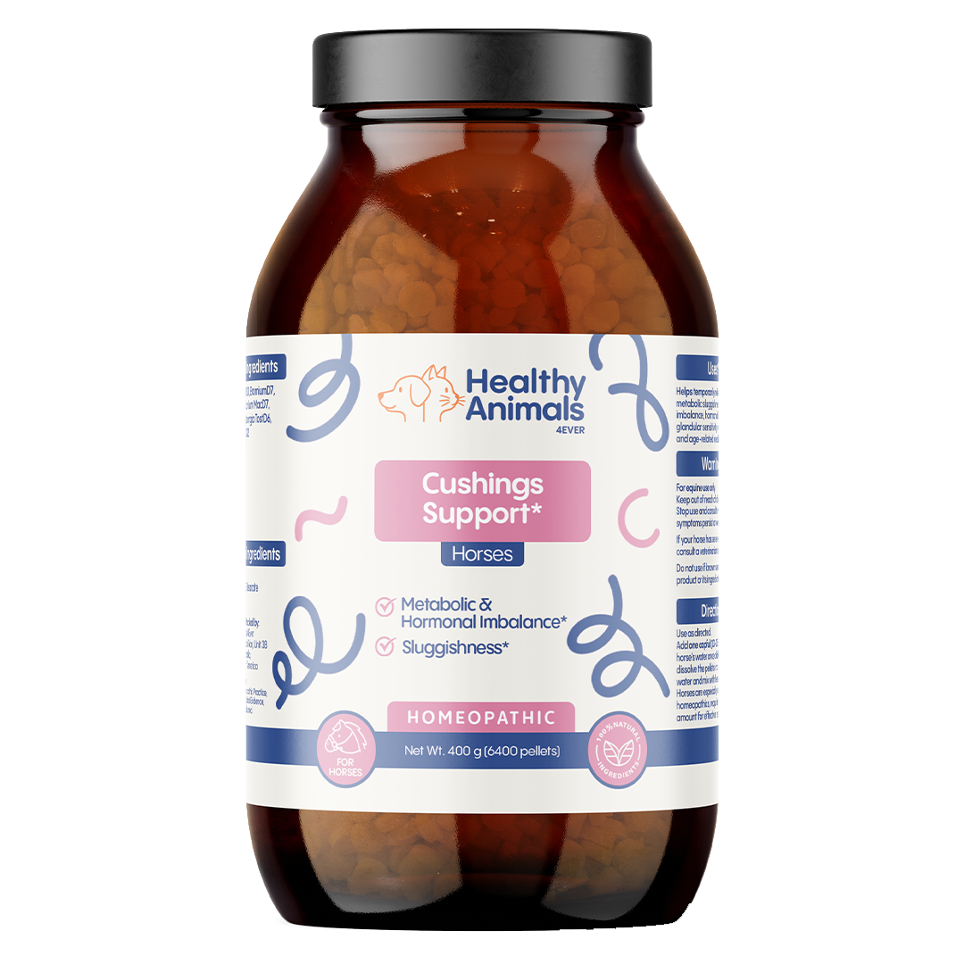 Horse Digestive Support for Cushing’s Disease