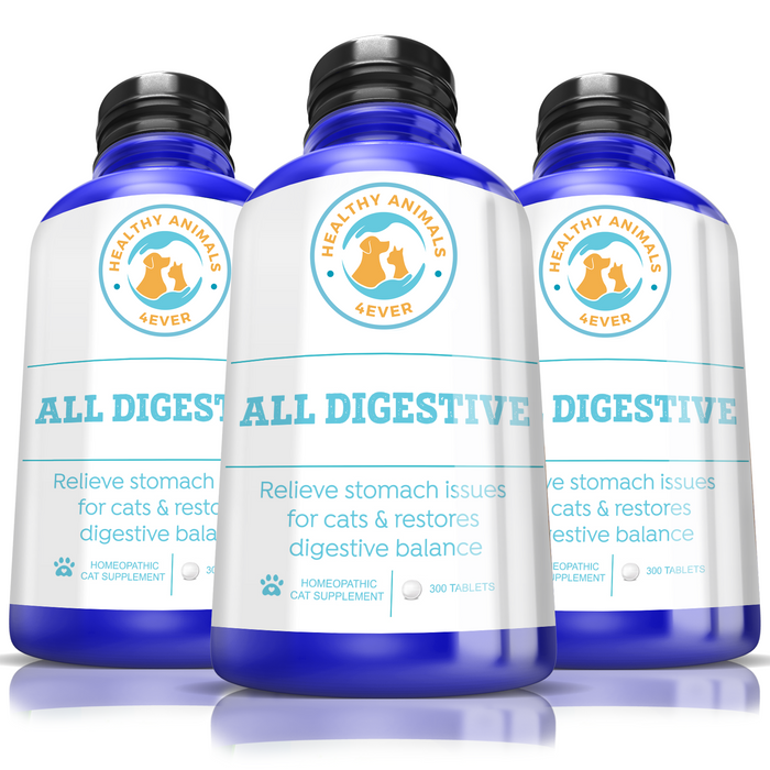 All Digestive - Cats Triple Pack- Save 30%