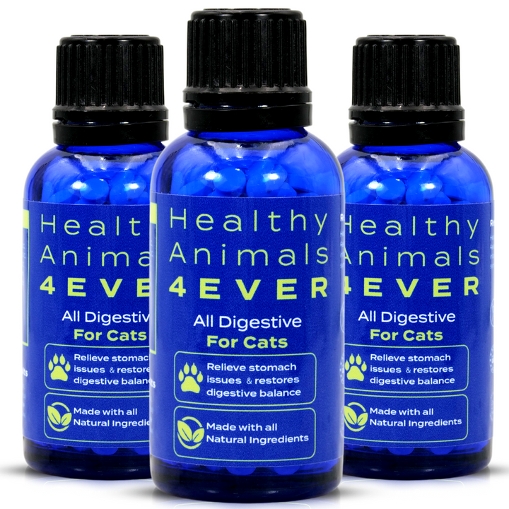 All Digestive - Cats Triple Pack- Save 30%