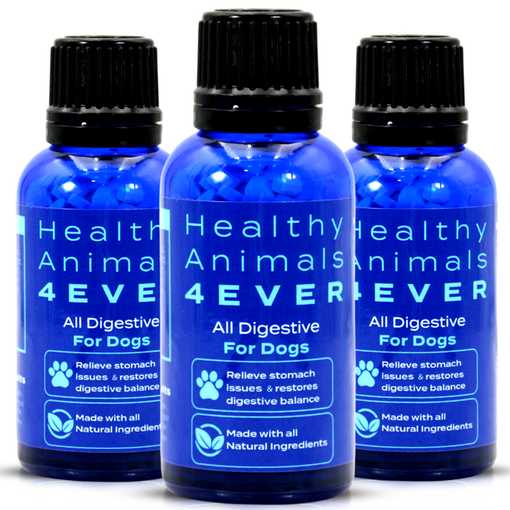 All Digestive - Dogs Triple Pack- Save 30%