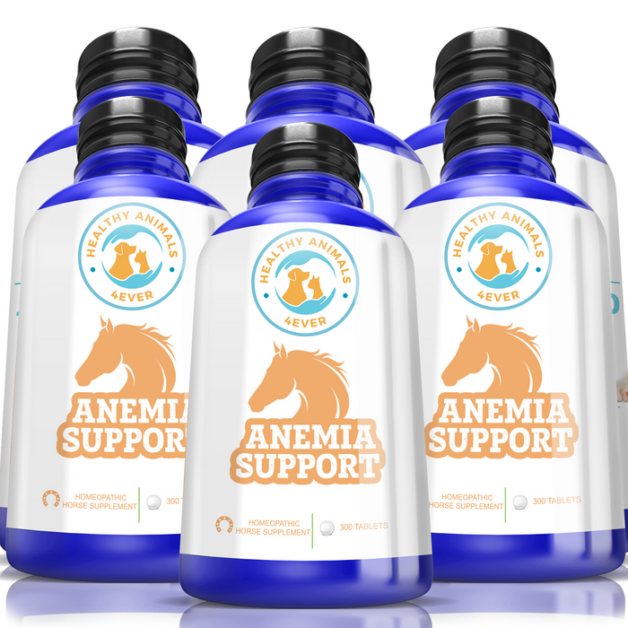 HORSE ANEMIA SUPPORT Six Pack- Save 50%