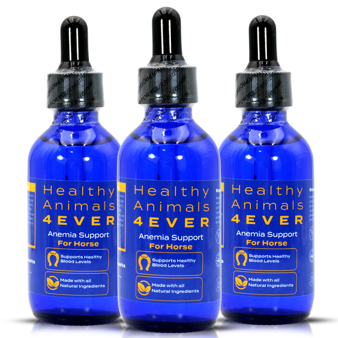 HORSE ANEMIA SUPPORT (Liquid) Triple Pack- Save 30%