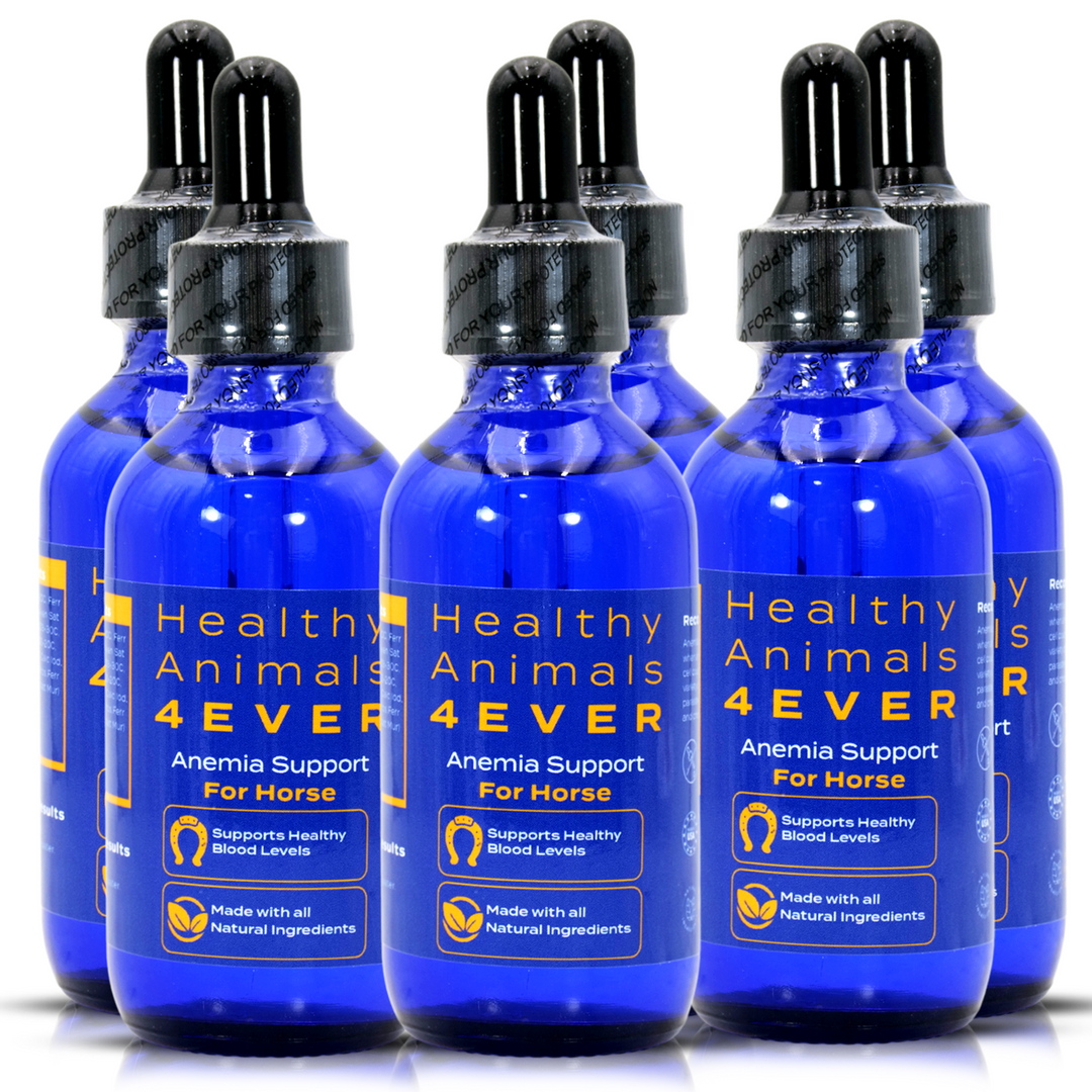 HORSE ANEMIA SUPPORT (Liquid)Six Pack- Save 50%