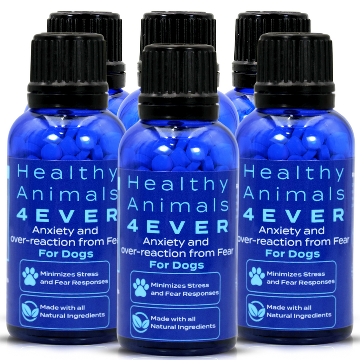 Anxiety and Over-Reaction from Fear Formula for Dogs, Six Pack- Save 50%