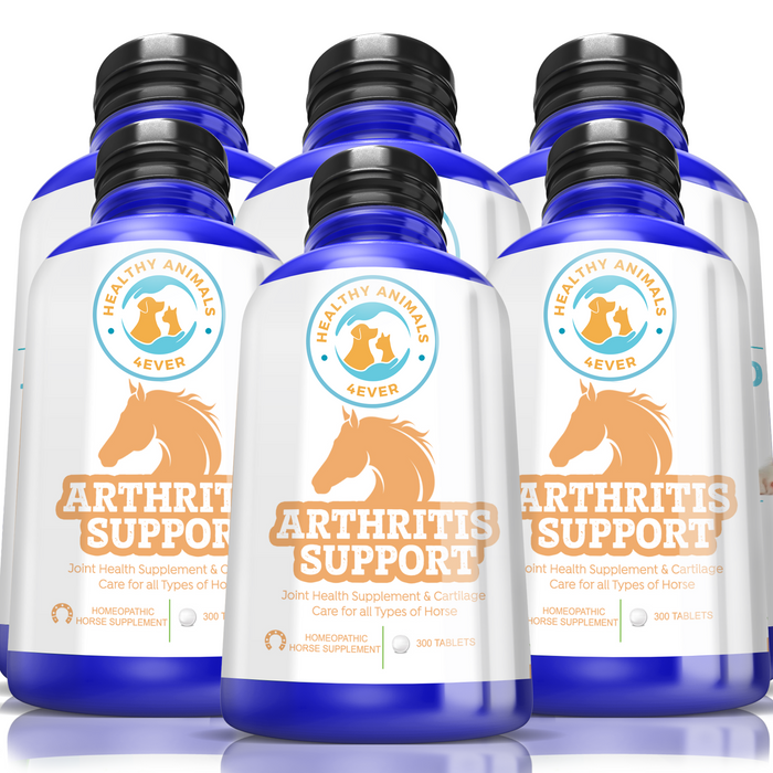 HORSE ARTHRITIS PRODUCT Six Pack- Save 50%
