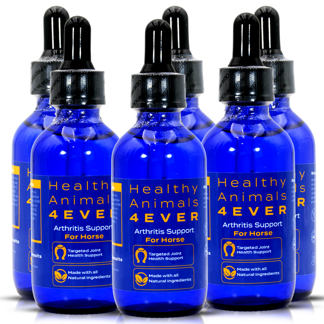 HORSE ARTHRITIS SUPPORT(Liquid) Six Pack- Save 50%