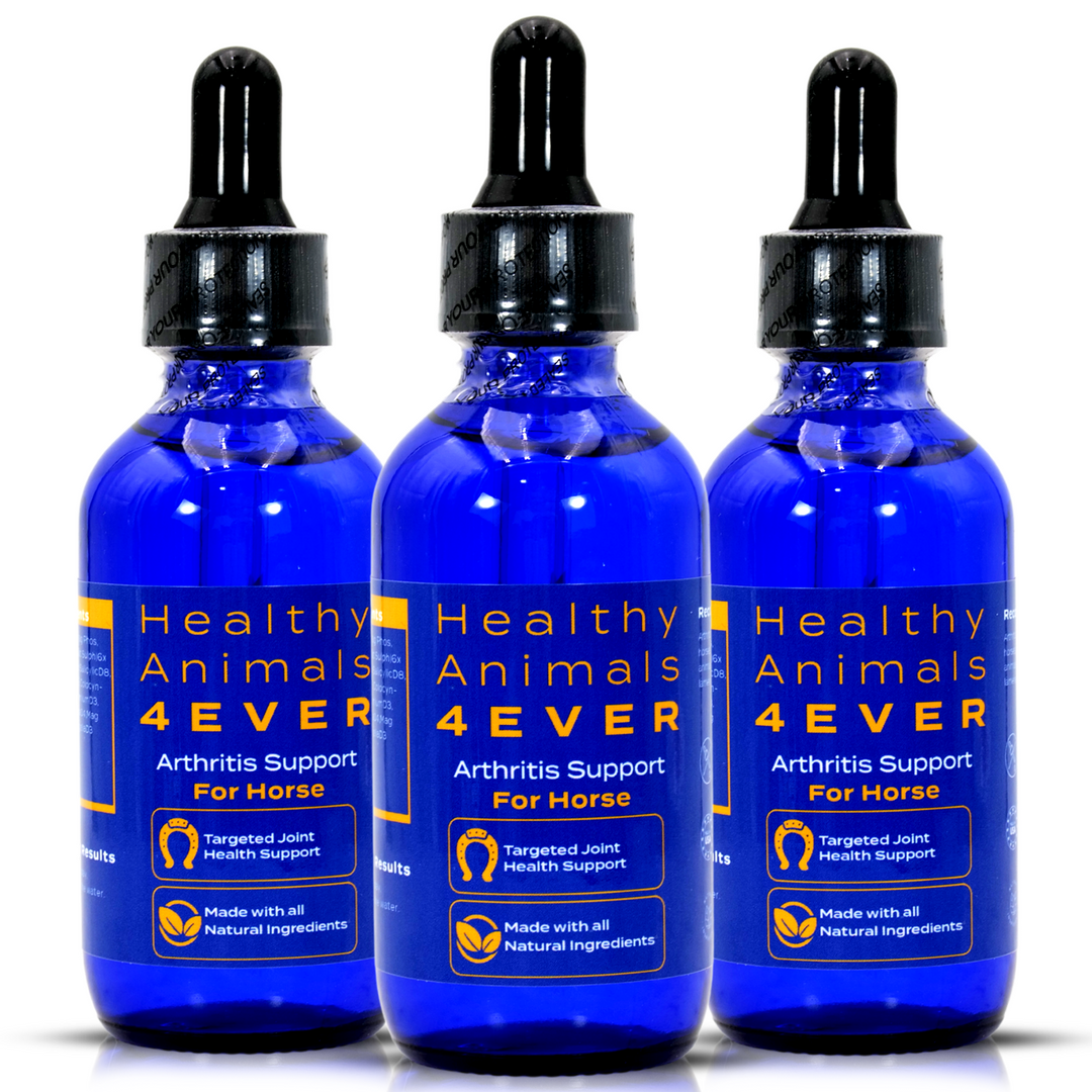 HORSE ARTHRITIS SUPPORT(Liquid)  Triple Pack- Save 30%