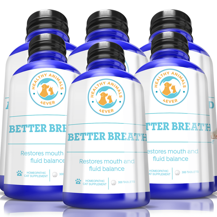 Better Breath - Cats Six Pack- Save 50%