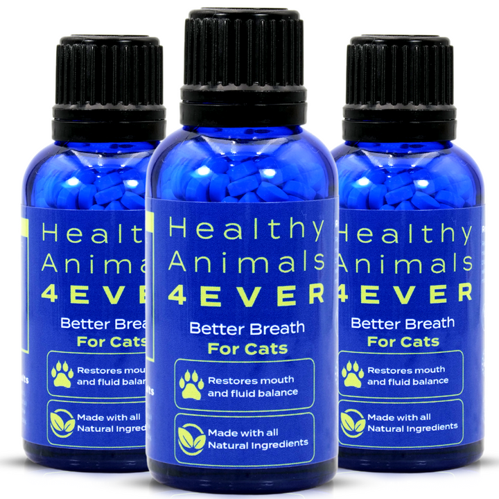 Better Breath - Cats Triple Pack- Save 30%