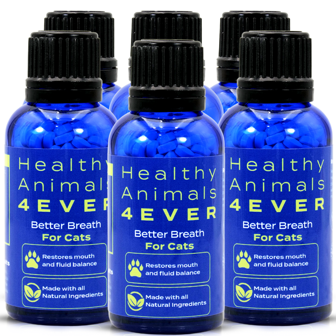 Better Breath - Cats Six Pack- Save 50%