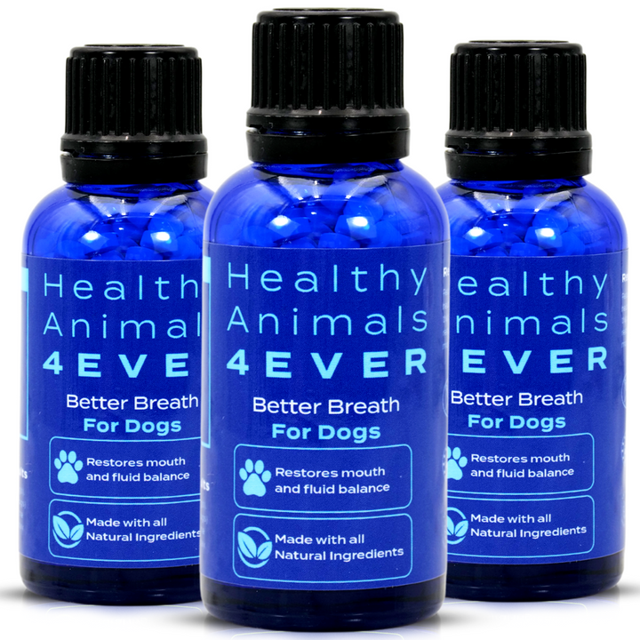 Better Breath - Dogs  Triple Pack- Save 30%