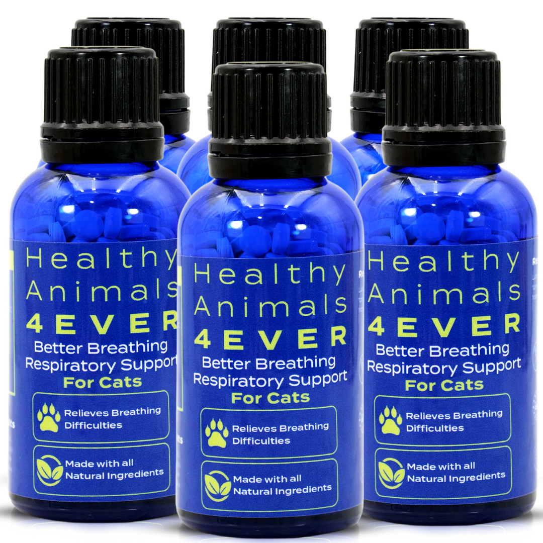 Better Breathing Respiratory Support Formula for Cats, Six Pack- Save 50%