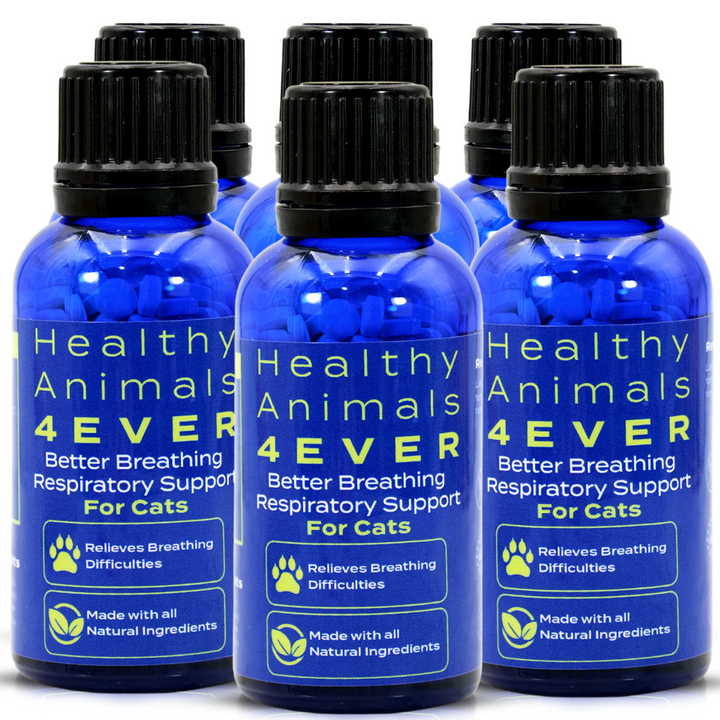 Better Breathing Respiratory Support Formula for Cats, Six Pack- Save 50%