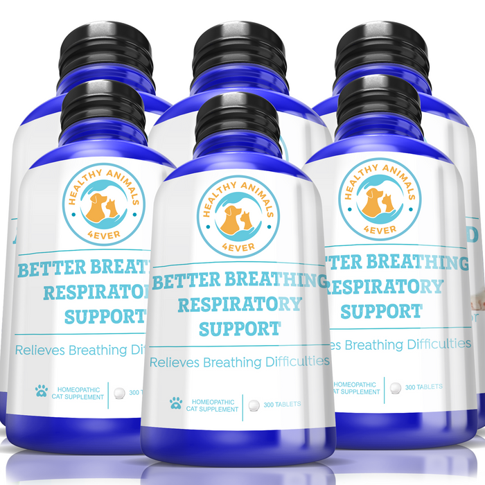 Better Breathing Respiratory Support Formula for Cats, Six Pack- Save 50%