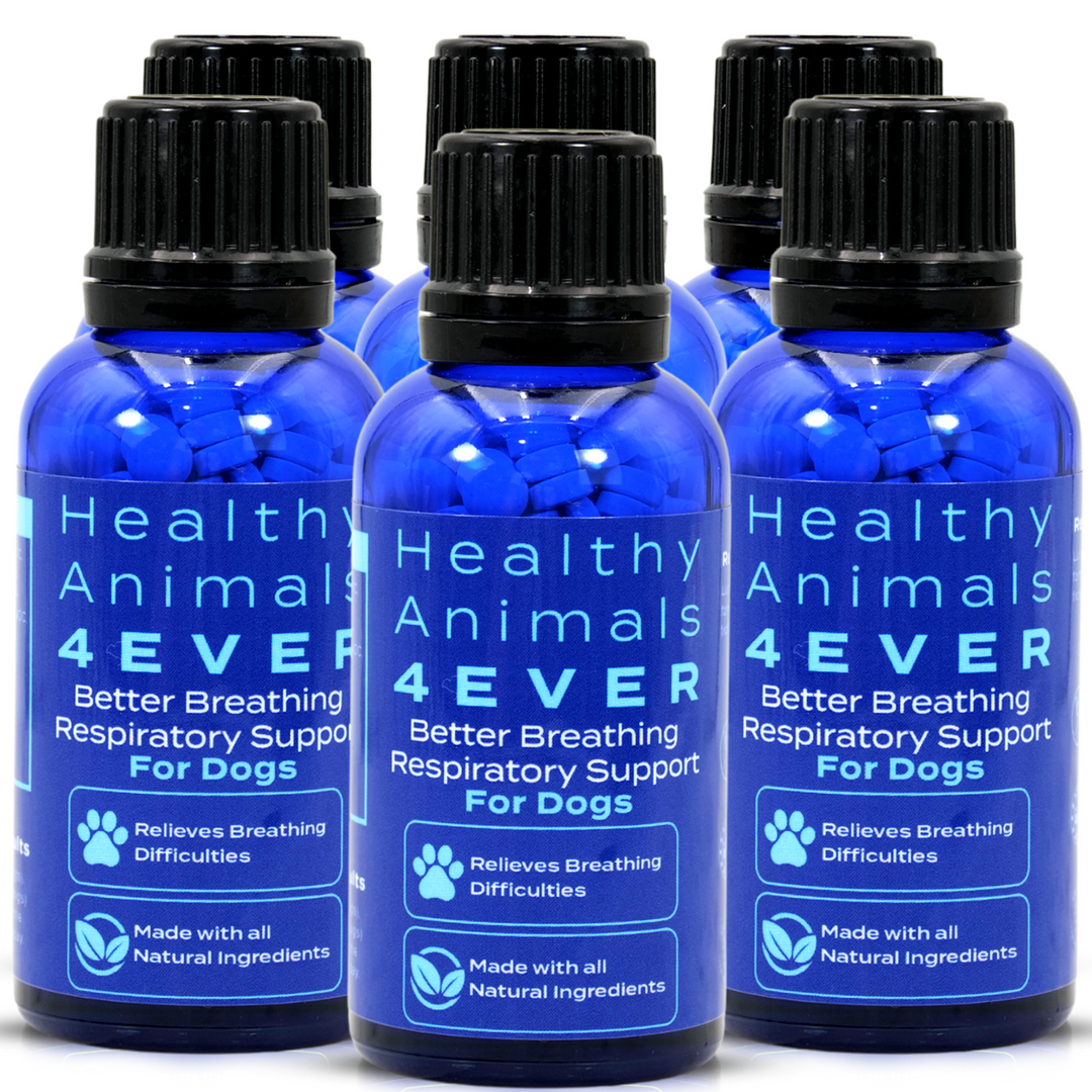 Better Breath - Dogs Six Pack- Save 50%