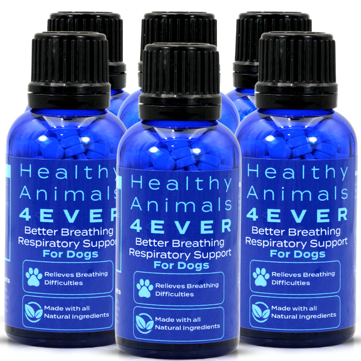 Better Breath - Dogs Six Pack- Save 50%