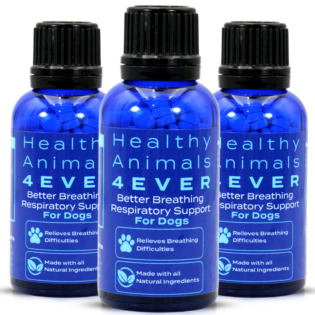 Better Breathing Respiratory Support Formula for Dogs   Triple Pack- Save 30%