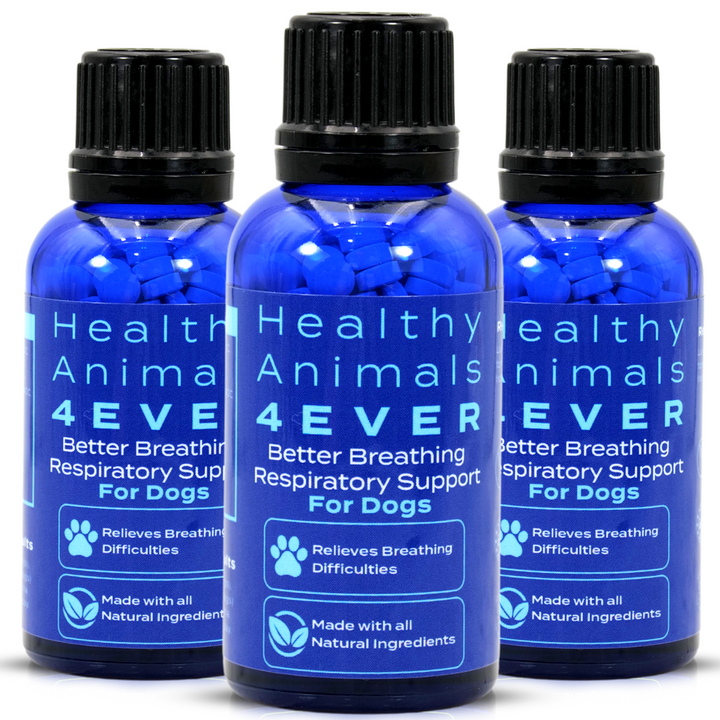 Better Breathing Respiratory Support Formula for Dogs   Triple Pack- Save 30%