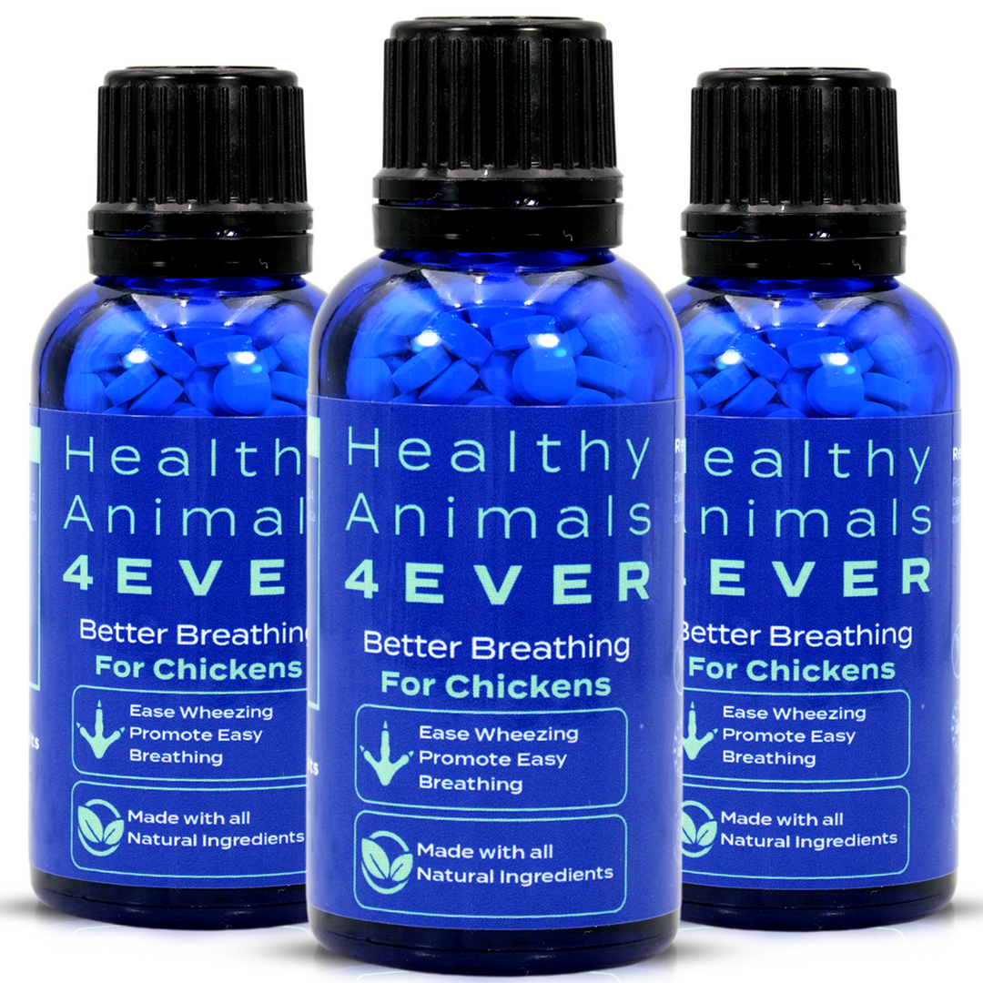 HEALTHYANIMALS4EVER ALL-NATURAL CHICKEN RESPIRATORY SUPPORT Triple Pack- Save 30%