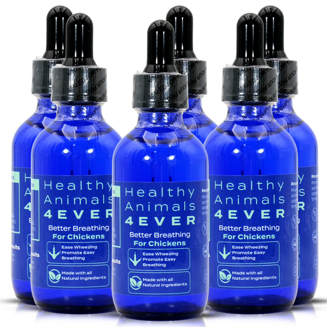 HEALTHYANIMALS4EVER ALL-NATURAL CHICKEN RESPIRATORY SUPPORT(Liquid)Six Pack- Save 50%