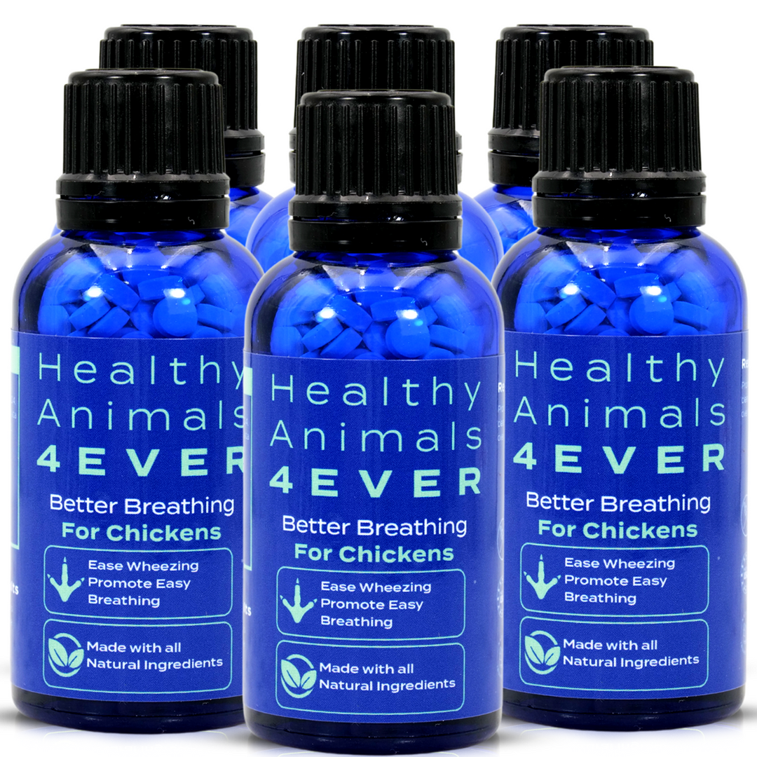 HEALTHYANIMALS4EVER ALL-NATURAL CHICKEN RESPIRATORY SUPPORT Six Pack- Save 50%