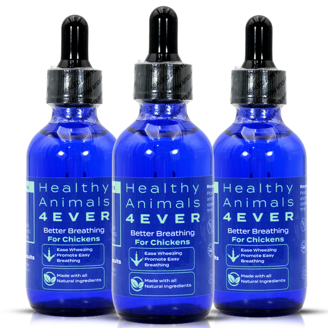 HEALTHYANIMALS4EVER ALL-NATURAL CHICKEN RESPIRATORY SUPPORT(Liquid)Triple Pack- Save 30%