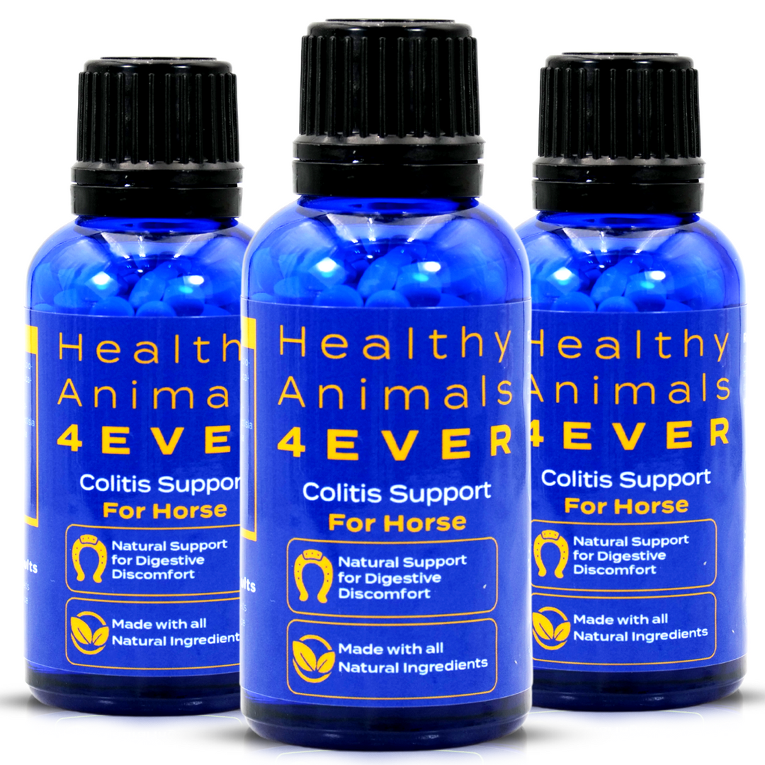 HORSE COLITIS SUPPORT Triple Pack- Save 30%