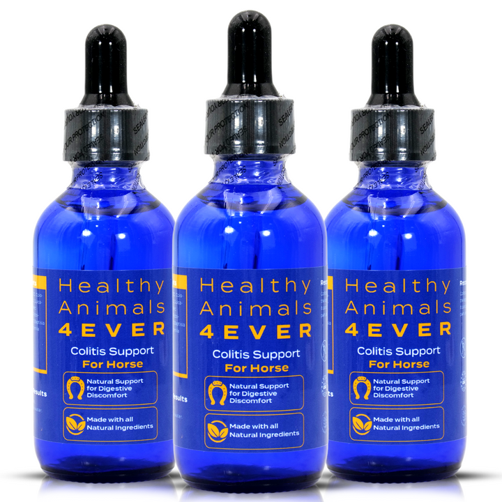 HORSE COLITIS SUPPORT (Liquid)  Triple Pack- Save 30%