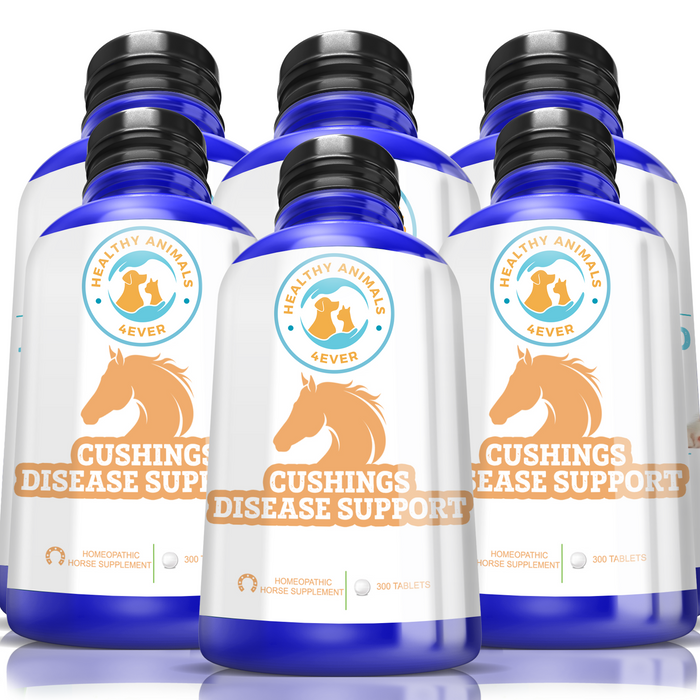 HORSE CUSHINGS DISEASE SUPPORT  Six Pack- Save 50%