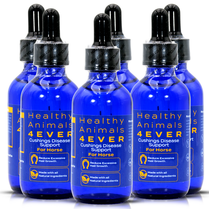 HORSE CUSHING DISEASE SUPPORT (Liquid)Six Pack- Save 50%