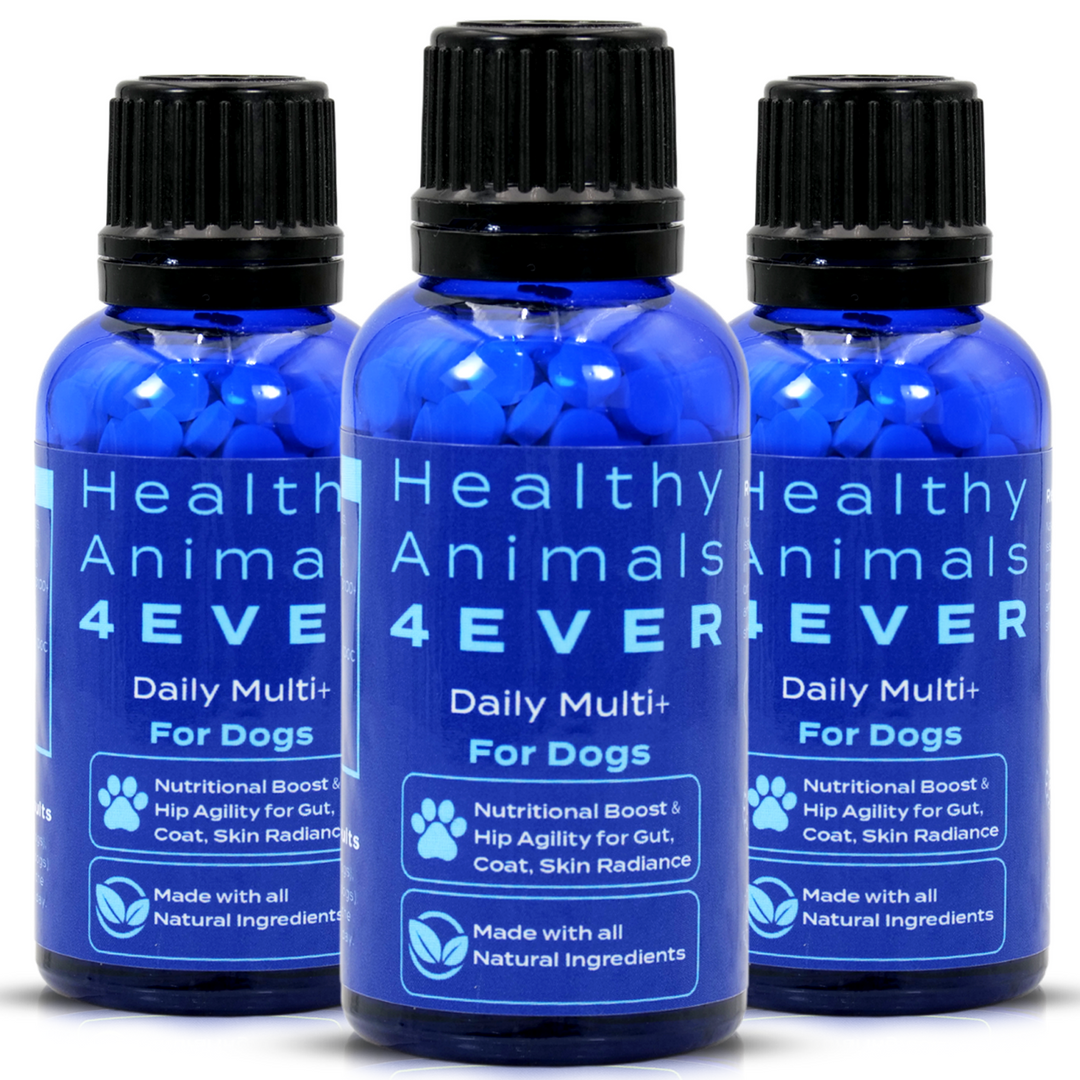 HEALTHY ANIMALS 4EVER - DAILY MULTI FOR DOGS Triple Pack- Save 30%