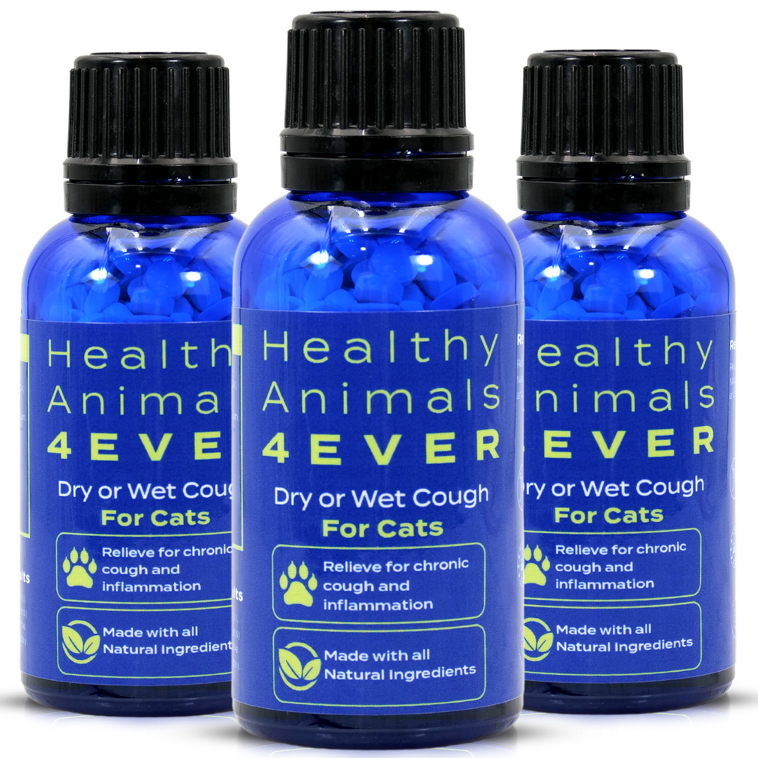 Dry or Wet Cough Formula for Cats,  Triple Pack- Save 30%