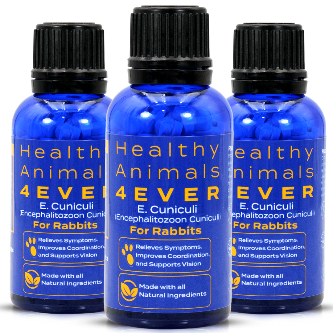 E. cuniculi (Encephalitozoon cuniculi) Remedy for Rabbits  Triple Pack- Save 30%