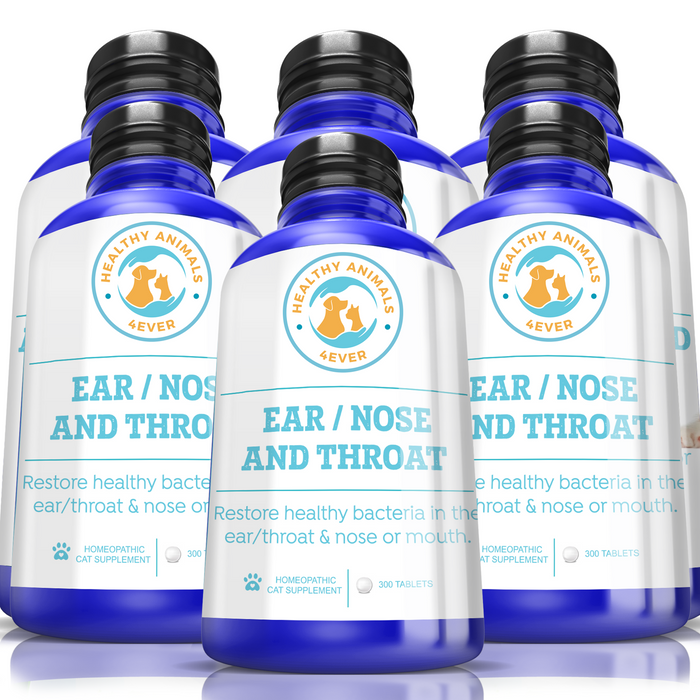 Ear Nose and Throat - Cats   Six Pack- Save 50%
