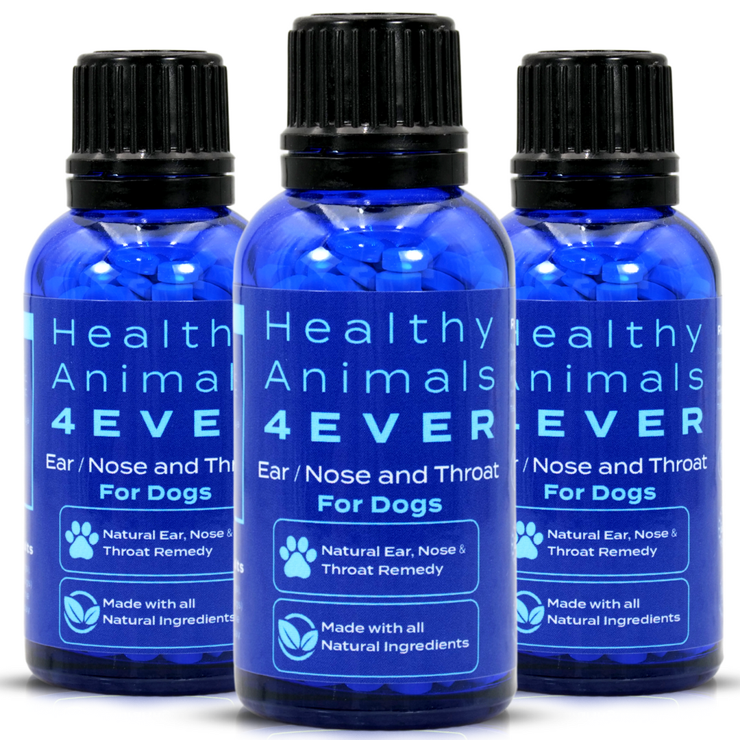 Ear Nose and Throat - Dogs Triple Pack- Save 30%