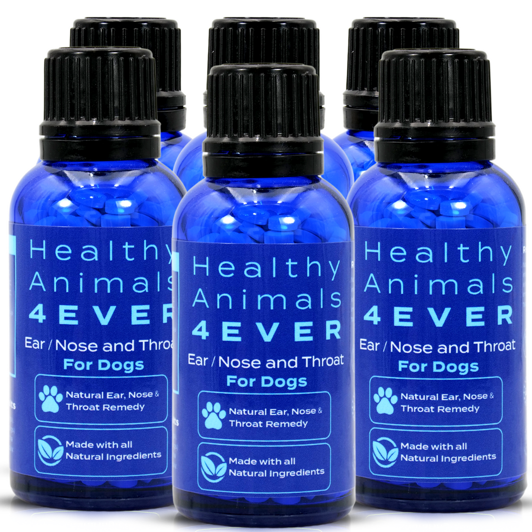 Ear Nose and Throat - Dogs  Six Pack- Save 50%