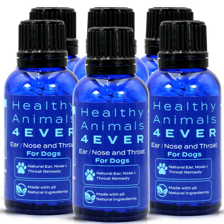 Ear Nose and Throat - Dogs  Six Pack- Save 50%