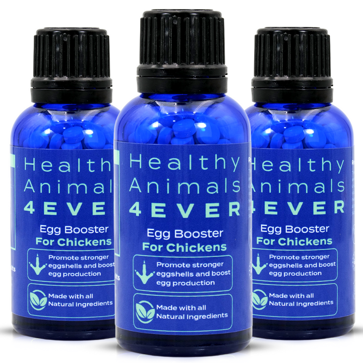 HEALTHYANIMALS4EVER ALL-NATURAL CHICKEN EGG BOOSTER Triple Pack- Save 30%