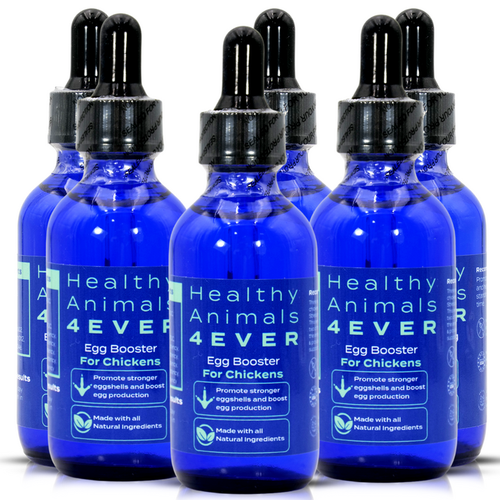 HEALTHYANIMALS4EVER ALL-NATURAL CHICKEN EGG BOOSTER (Liquid)Six Pack- Save 50%