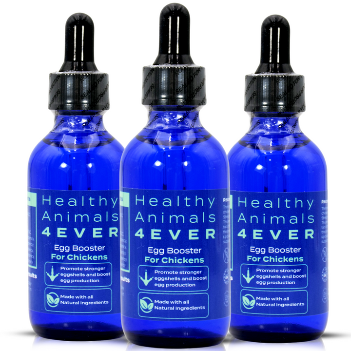 HEALTHYANIMALS4EVER ALL-NATURAL CHICKEN EGG BOOSTER (Liquid)Triple Pack- Save 30%