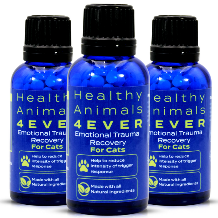 Emotional Trauma Recovery - Cats  Triple Pack- Save 30%