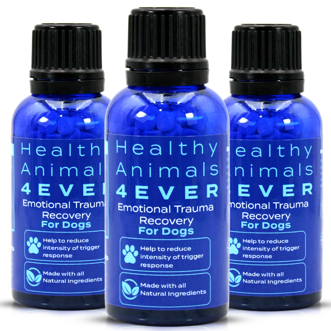 Emotional Trauma Recovery - Dogs Triple Pack- Save 30%